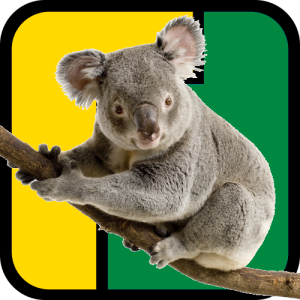 Friendly Koala's avatar